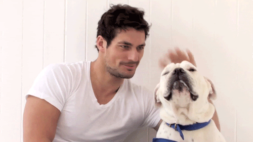 photo tumblr_max90pX3bg1r1nha1o1_500_zps532f89eb.gif