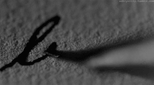 Image Hosted by ImageShack.us