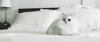 photo tumblr_lurgv2GVrD1qj05iuo1_500_zpsf9b5926f.gif