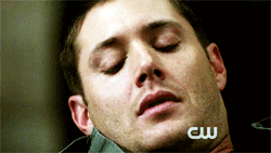 photo 4afd2650.gif