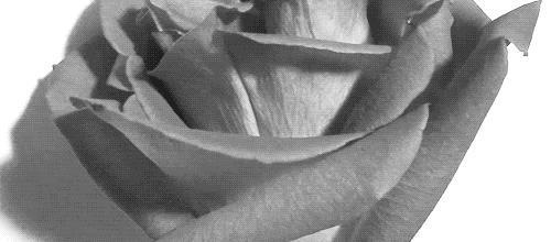  photo tumblr_ma2h6vaxTA1qaozevo1_500_zpsc2e820fd.gif