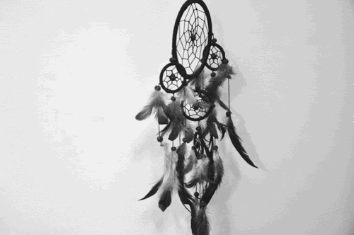  photo tumblr_m8q440BSTC1rt6a6wo1_500_zpsd3024b88.gif