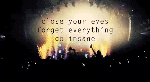 concert gifs photo: tumblr_lpimwnhALB1qaz1zqo1_500.gif