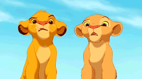 wha? photo tumblr_lzmi4lmxcm1rn95k2o1_500.gif