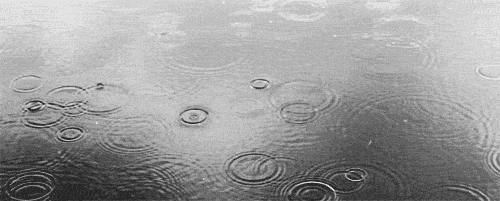  photo tumblr_mft26kuBTX1rmdeaso1_500_zpsfddd1ccc.gif