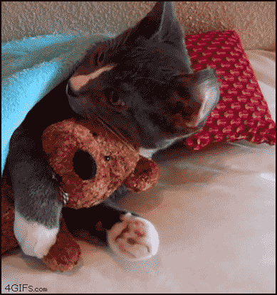 hugging