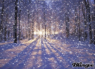  photo snowfall_zpsc303f874.gif