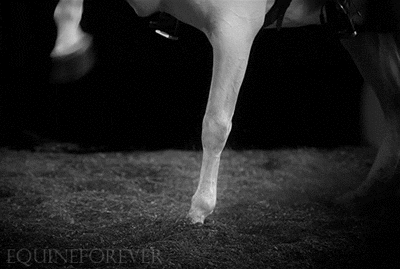 photo tumblr_mjkyrfip741s5suo9o1_400_zps543c7d93.gif