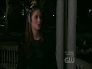 cat fight photo: cat fight! fight.gif