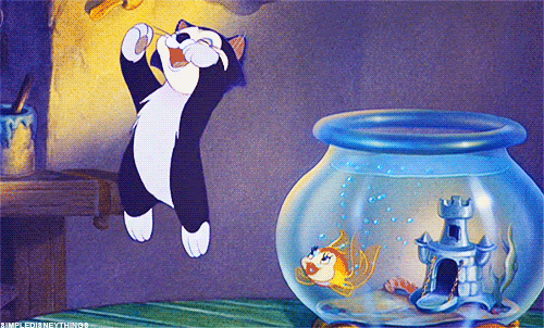 Photobucket Pictures, Images and Photos