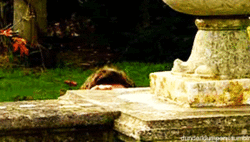 Image Hosted by ImageShack.us