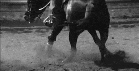  photo tumblr_m2dtkmpKoY1rpztxvo1_500_zps44180294.gif