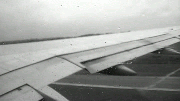  photo tumblr_mo8jcgQP3C1s0x7xbo1_400_zps1408aa7d.gif