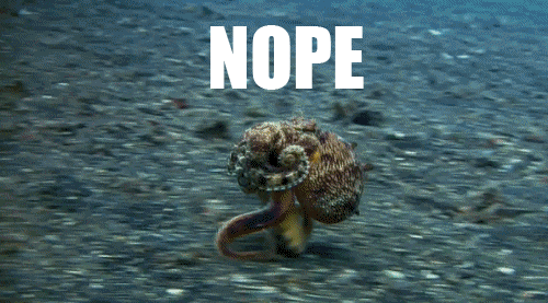 Nopetopus