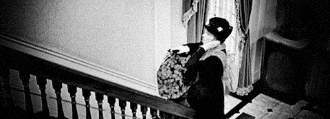  photo mary-poppins-gif-julie-andrews-mp-up-the-stairs_zps2655c87c.gif