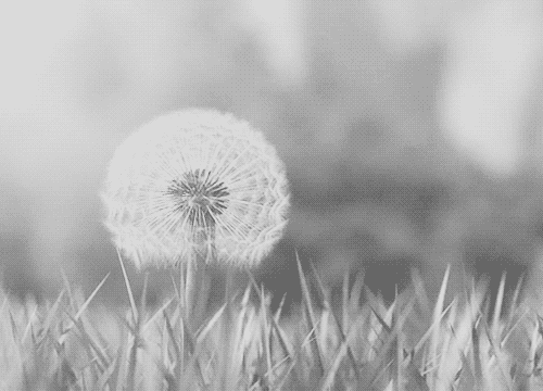  photo tumblr_m4r3xryNuI1rpldxpo1_500_zpsed3e24cd.gif