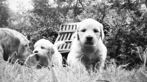  photo original_zps1ea552ee.gif