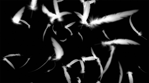 photo tumblr_mgwl03PpuZ1r6gnqvo1_500_zpsed07a3d9.gif