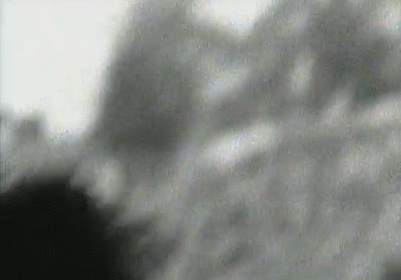  photo tumblr_mhywgs6FSK1ru8kp7o1_500_zpse5f83932.gif