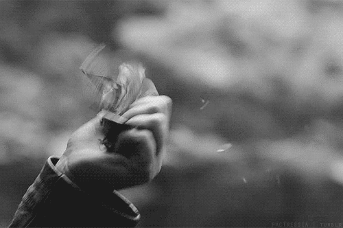  photo tumblr_mgc6yaCp6v1rmdeaso1_500_zps2ed55ee3.gif