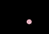 animated fireworks photo: Fireworks Fireworks.gif