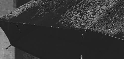  photo tumblr_msht1s16571sbckyco1_500_zpsbcddafa9.gif