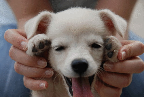 photo tumblr_lyf0ph4tyH1r6s66vo1_500_zps5d33b57e.gif