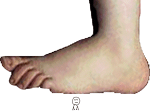 Deutsch: Animation erstellt aus :Image:Python-...