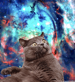 tumblr_mlotjw0e2C1r4xjo2o1_250