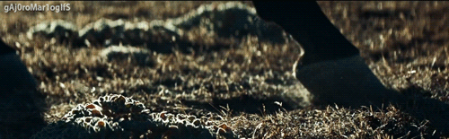  photo tumblr_mjsciai8By1r8bvzso4_r1_500.gif