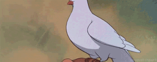 blushing dove photo 70csao1.gif