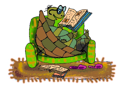 Like me, the turtle in the image above has written 6k words for National Novel Writers Month.