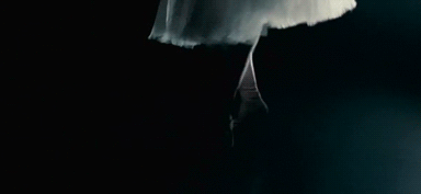  photo tumblr_mo3521UDTK1s2e8s1o1_400_zps2851be2d.gif