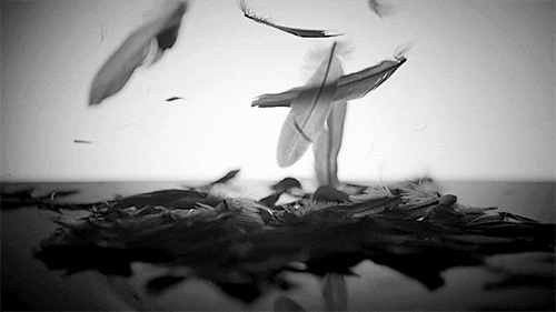 photo tumblr_micfm8B7Vt1r0ii93o1_500_zps15fc6f1e.gif