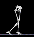 sILLY_wALK