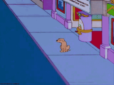 photo tumblr_ma1looJCJQ1qz5o0m.gif
