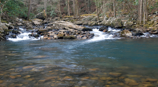FEEL THE RIVER FLOW