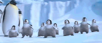 funny gifs