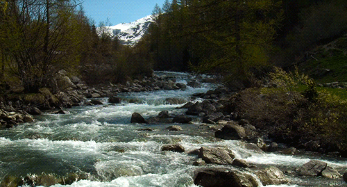 tumblr_mqx880u9KB1r4zr2vo2_r1_500