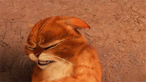  photo catcutegif_zps3fcd69df.gif