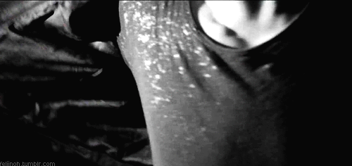  photo 6706910_zps4783203c.gif