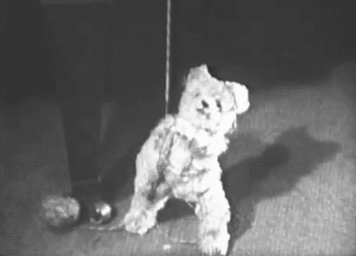  photo hang_zpsb117153b.gif