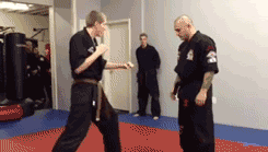 tumblr mhn739RLSE1ql2603o1 250 Join the Pitch Wars Contest Information, and Why You Should Pick Me!