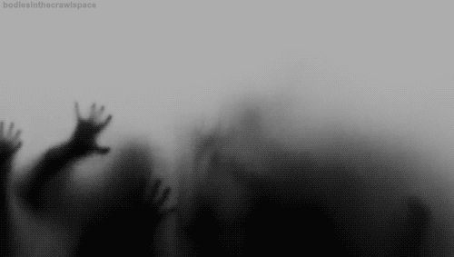 photo tumblr_mwj9gmVdVU1shkavmo1_500_zpsf9ebebb2.gif