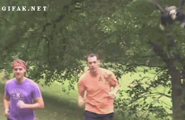  photo aPvR0bV_460sa_zpsd2232137.gif