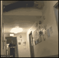 anigif_enhanced-buzz-15675-1337976013-1