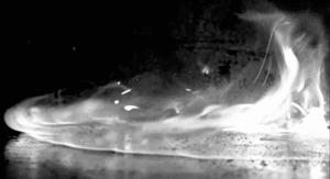  photo tumblr_mw27fpc9MJ1r0tytoo1_400_zps4f496e44.gif