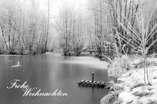  photo tumblr_my7lpx5uMO1r764mao1_500_zps9b81260c.gif