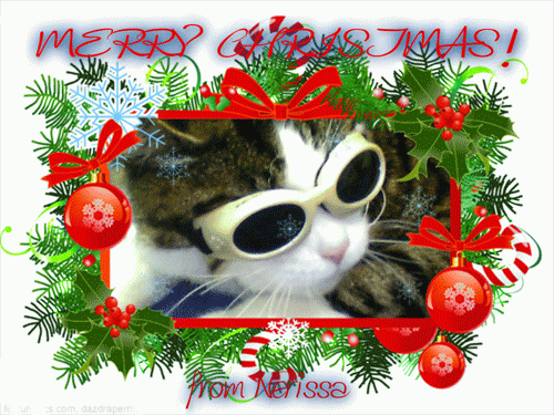 Nerissa's blog