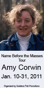 Amy Corwin blog tour